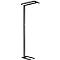 LED vloerlamp - traploos dimbaar - directe en indirecte verlichting - H 1950 mm - 2 x 40 W - zwart