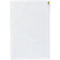 LEITZ collectiezakken, met schuifsluiting, PVC transparant, formaat A4