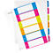LEITZ® kunststof indexbladen Wow, cijfers 1-6, A4 extra breed, Via pc beletterbaar, losbladig