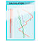 Line chart visualizing data, labeled "Calculation Chart" and "Management Information Systems."