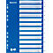 Blue Leitz file divider, with 12 tabs, labeled with numbers. Holes on the left for filing.