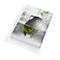 Leitz® Prospekthüllen Recycle, Format A4 maxi, Universallochung, dokumentenecht, 100 % recycelbar, Recyclingfolie, transparent, 25 Stück