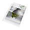 Leitz® Prospekthüllen Recycle, Format A4 maxi, Universallochung, dokumentenecht, CO2-neutral, 100 % recycelbar, Recyclingfolie, transparent, 25 Stück