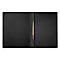 Opened black file folder, golden clasp.