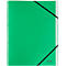 Leitz® Recycle map, A4, 12 vakken met blanco tabbladen, inhoudsopgave, elastieksluiting, 100% recyclebaar, karton, groen