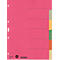 LEITZ® Register Blanko, 6 Taben, zur freien Verwendung, einzeln