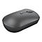 Lenovo 540 Wireless Compact - Maus - kompakt - optisch - 4 Tasten - kabellos