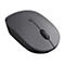 Lenovo Go - Maus - 2.4 GHz - Storm Gray