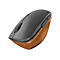 Lenovo Go - Maus - ergonomisch - Für Rechtshänder - optisch blau - 6 Tasten