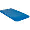 Blue, rectangular plastic balance board. Rounded corners, slight indentation in the middle.
