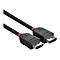 Câble DisplayPort LINDY noir avec des accents rouges. Les deux extrémités sont visibles.
