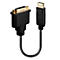 Adaptateur DVI vers DisplayPort noir. L'extrémité DVI est dorée, l'extrémité DisplayPort porte l'inscription "Source".