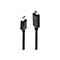 Zwei schwarze Kabel, eines mit DisplayPort-Anschluss, eines mit HDMI-Anschluss, beide mit Beschriftung.