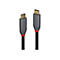 Zwei USB-C-Kabel nebeneinander. Die Stecker sind goldfarben, die Griffe grau, mit roter Markierung. Schwarze Kabel.