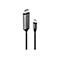 Adaptateur gris avec une prise DisplayPort et une prise USB-C, reliés par un câble noir. Le nom LINDY est visible sur l'adaptateur.