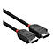 Câble DisplayPort LINDY noir avec des touches de rouge. Les deux extrémités sont visibles en détail.