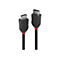 Deux câbles DisplayPort LINDY noirs avec des accents rouges. Les deux câbles sont présentés en gros plan sur fond blanc.