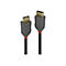 Deux câbles DisplayPort noirs Lindy. Connecteurs gris, détails rouges. Inscription 'Lindy'.