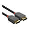Câble LINDY noir avec connecteurs gris, contacts dorés et couleur d'accentuation rouge. Le câble DisplayPort est en gros plan sur fond blanc.