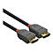 Câble DisplayPort LINDY noir avec connecteurs gris, bague rouge et contacts dorés.