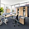 Office with height-adjustable desk, chair, cabinets and plant. Bright interior.