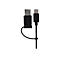 LMP Easy Mouse - Maus - optisch - 2 Tasten - kabelgebunden - USB, USB-C
