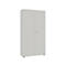 Locker 2-deurs, zonder akoestisch front, B 1000 x D 450 x H 2300 mm, zilverkleurig