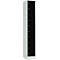 Lockerkast, plaatstaal, deuraanslag rechts, cilinderslot, 10 vakken, B 300 x H 1800 mm, lichtgrijs RAL 7035/gitzwart RAL 9005