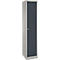 Lockerkast, staal, cilinderslot, met etikethouder, 1 compartiment, licht zilver/antraciet RAL 7016