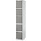 Lockerzuil, met cilinderslot, lichtgrijs/platina grijs