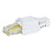 Ein weißer RJ45-Netzwerkstecker mit transparentem Kopf vor weißem Hintergrund.