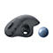 Souris d'ordinateur gris foncé avec une boule bleue. Logo « Logi ». Avec des boutons et une trackball.