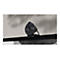Logitech BRIO 305 - Webcam - Farbe - 2 MP - 1920 x 1080 - 1080p, 720p
