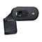 Logitech C505e - Webcam