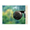 Alt texts API call disabled!