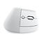 Logitech Lift for Business - vertikale Maus - Bluetooth, 2.4 GHz - Off-White