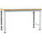 Manuflex werkbank Profi speciaal, tafelblad kunststof, 1750 x 700 mm, lichtgrijs