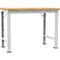 Manuflex werkbank Profi speciaal, tafelblad multiplex, 1250 x 700 mm, lichtgrijs