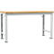Manuflex werkbank Profi speciaal, tafelblad multiplex, 1750 x 700 mm, lichtgrijs