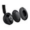 Microsoft Modern USB-C Headset for Business - Headset - On-Ear - kabelgebunden - USB-C - Schwarz