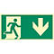 moedel Fluchtwegschild "Notausgang rechts Pfeil unten", nach ISO 7010 E002, Kunststoff, selbstklebend, langnachleuchtend, B 297 x H 148 mm
