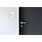 moedel Türschild LMH, Aluminium- und Holzrahmen, Holzart wählbar, Polyester-Abdeckung, Klebemontage, B 159,5 x H 150,5 mm, silber/Ahorn