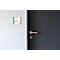 moedel Türschild LMH, Aluminium- und Holzrahmen, Holzart wählbar, Polyester-Abdeckung, Klebemontage, B 159,5 x H 150,5 mm, silber/Eiche