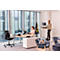 Monitorständer Fellowes Hana™ LT, für 1 Monitor bis 22,6 kg, 3-fach höhenverstellbar, mit Stauraum, B 560 x T 222 x H 102 mm, weiß