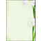 Motivpapier Sigel 'Green Flower', A4, 90 g/m², Blumen-Motiv, 25 Blatt
