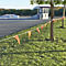 Orange pennant string in front of a skate park, lawn and trees.