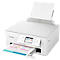 Multifunktionsdrucker Canon PIXMA TS7650i, 3 in 1, USB/WLAN/Cloud, Auto-Duplex/Mobildruck, bis A4, inkl. 2 Tinten-Druckköpfen