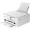 Multifunktionsdrucker Canon PIXMA TS7650i, 3 in 1, USB/WLAN/Cloud, Auto-Duplex/Mobildruck, bis A4, inkl. 2 Tinten-Druckköpfen