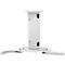 Muurbevestiging Neomounts® by Newstar BEAMER-C80, universeel voor 1 beamer tot 15 kg, volledig beweegbaar, in hoogte verstelbaar, kabelmanagement, wit