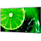 NEC MultiSync® E558 LCD 55' Essential Large Format Display, 4K UHD mit 3840 x 2160 px, schwarz